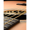 Walden Grand Audit Body Solid Cedar Electronics With Tuner